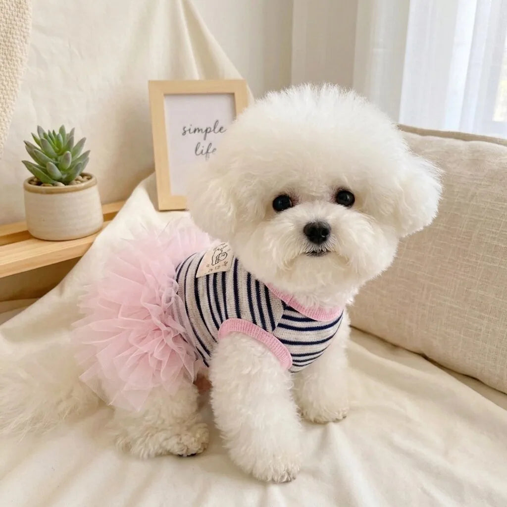 Japanese Style Pet Clothes Breathable Teddy - ProPawPet.com