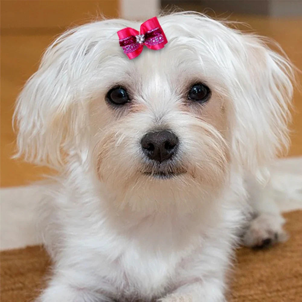 20pcs Pet Dog Cute Hair Bows with - ProPawPet.com