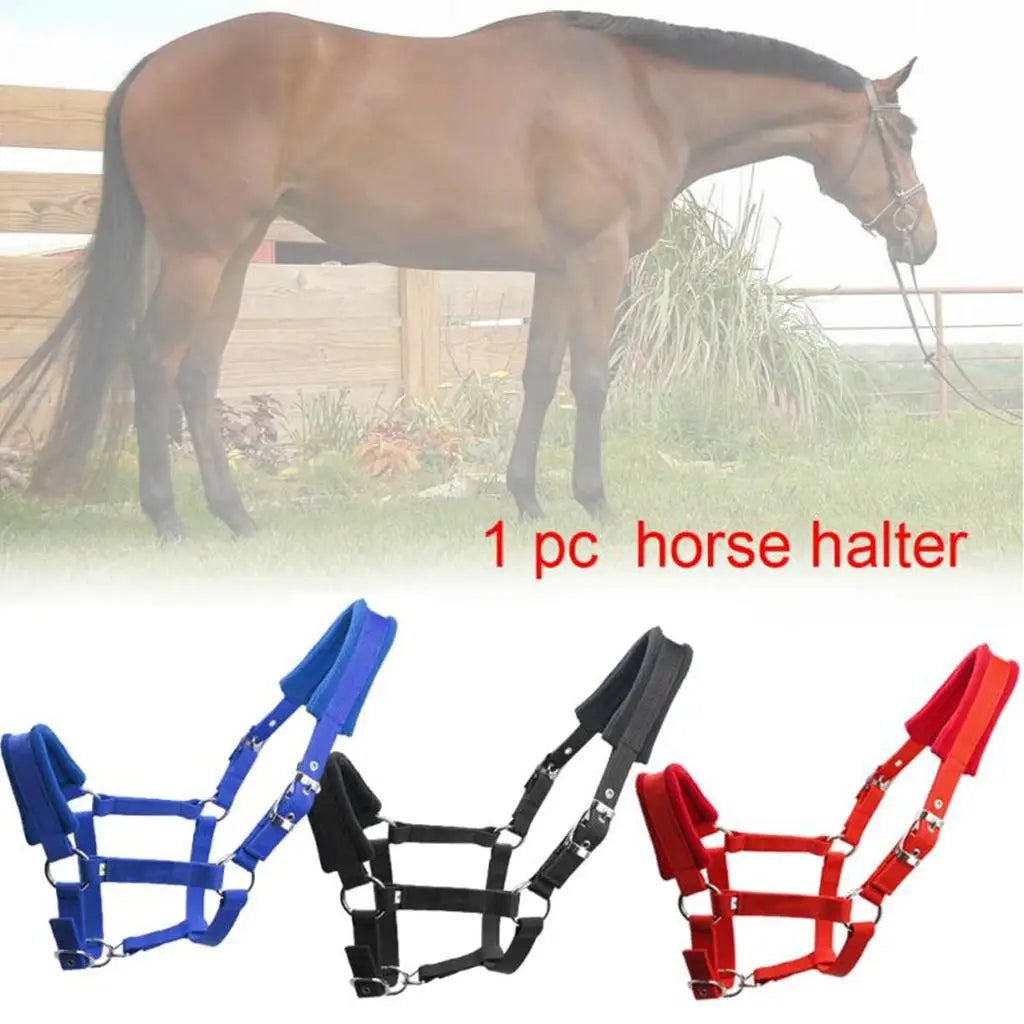Premium Thicken Cob Horse Halter Headstall - ProPawPet.com