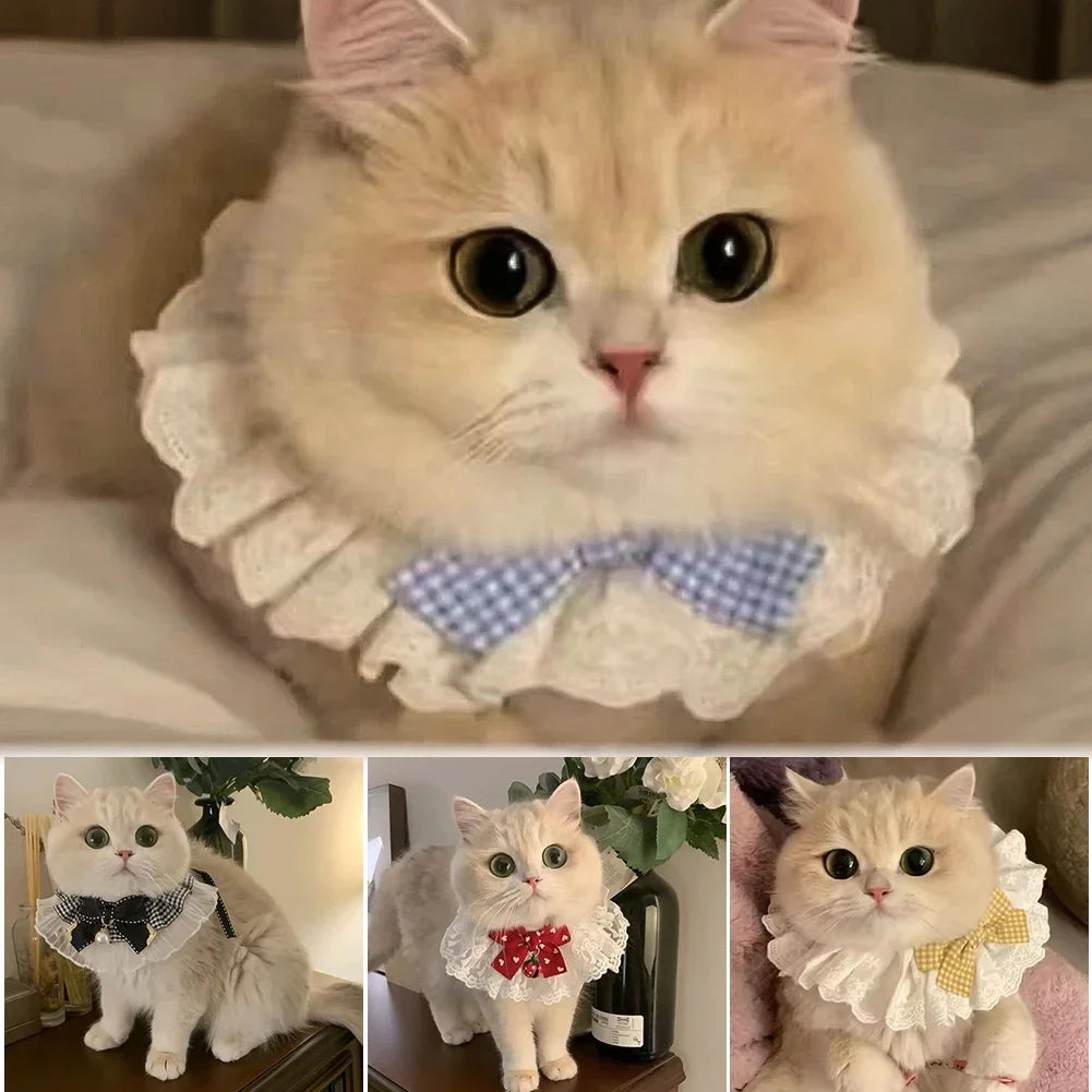 Lace Bowknot Pearl Collar Cat Dog - ProPawPet.com