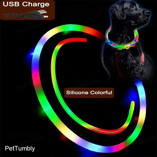 4 Modes Dog Luminou Charge Collar Led Usb - ProPawPet.com