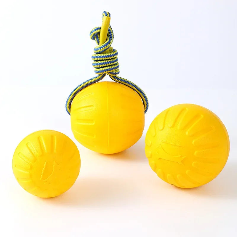 EVA Pet Toy Ball Dog Floating Ball Training - ProPawPet.com