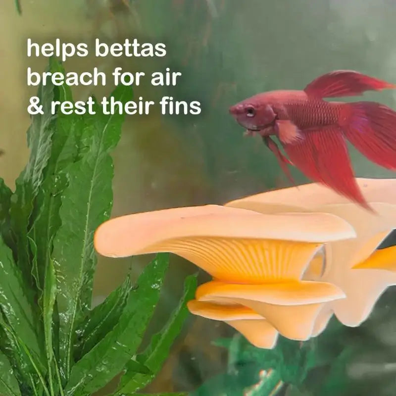 Mushroom Hammock Betta Fish Rest Bed - ProPawPet.com