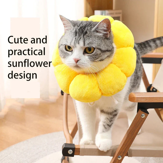 Sunflower Pet Elizabethan Collar Adjustable - ProPawPet.com