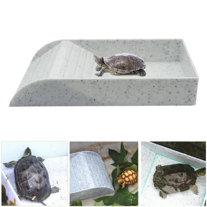 Tortoise Basin Food Bowl Reptile Sunbathing - ProPawPet.com