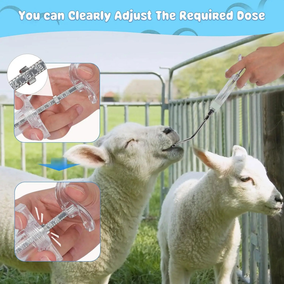 Adjustable Animal Oral Drencher Reusable - ProPawPet.com