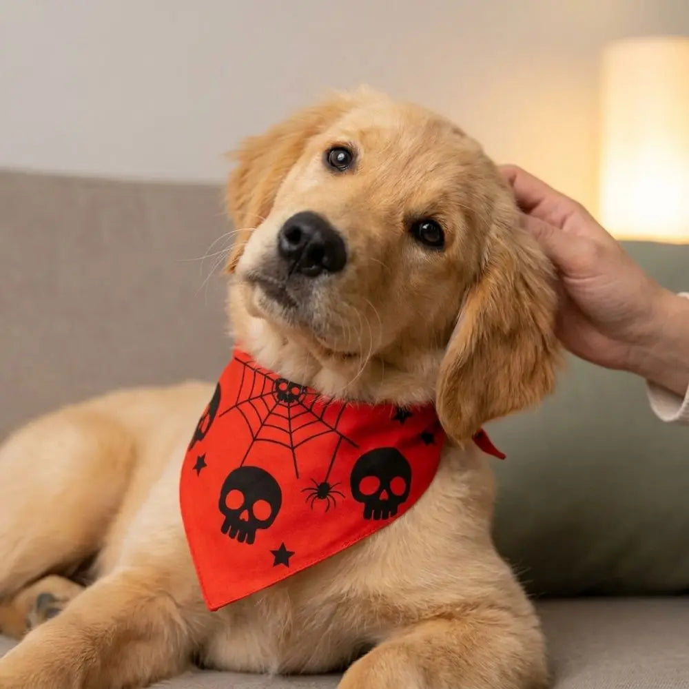 Polyester Pet Halloween Bandana Pumpkin - ProPawPet.com