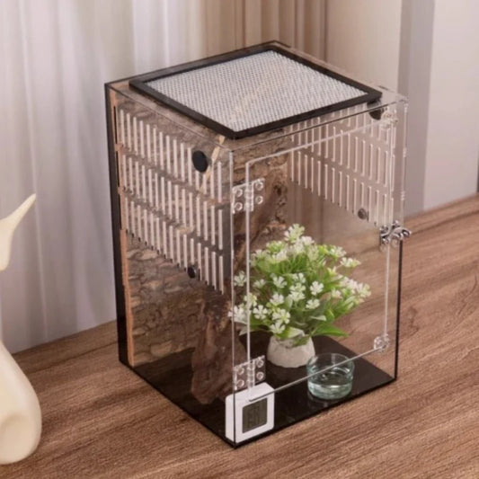 Transparent Reptile Feeding Box Breathable - ProPawPet.com