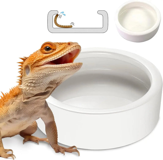 Ceramic Reptile Food Bowl Anti-Escape Feeder - ProPawPet.com