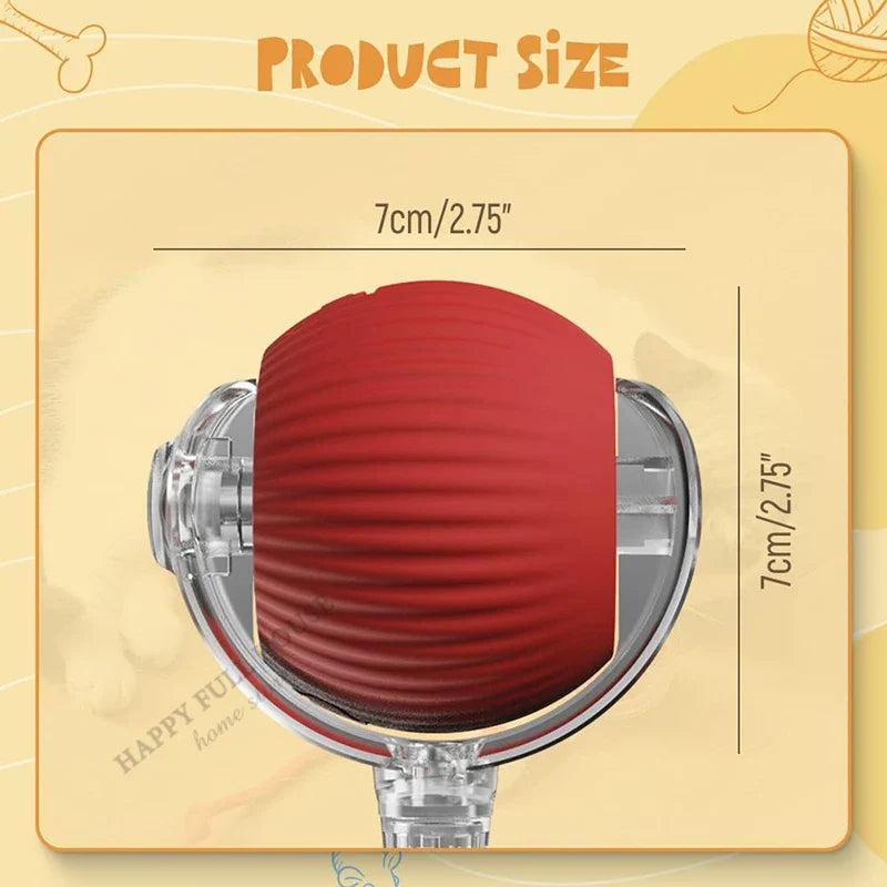 2 in 1 Cat Toy Interactive Ball for Indoor - ProPawPet.com