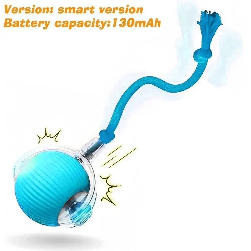 Dog Interactive Ball Toy Automatic Rolling - ProPawPet.com