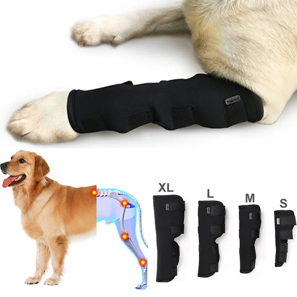 1 Pcs Breathable Dog Support Brace Joint - ProPawPet.com
