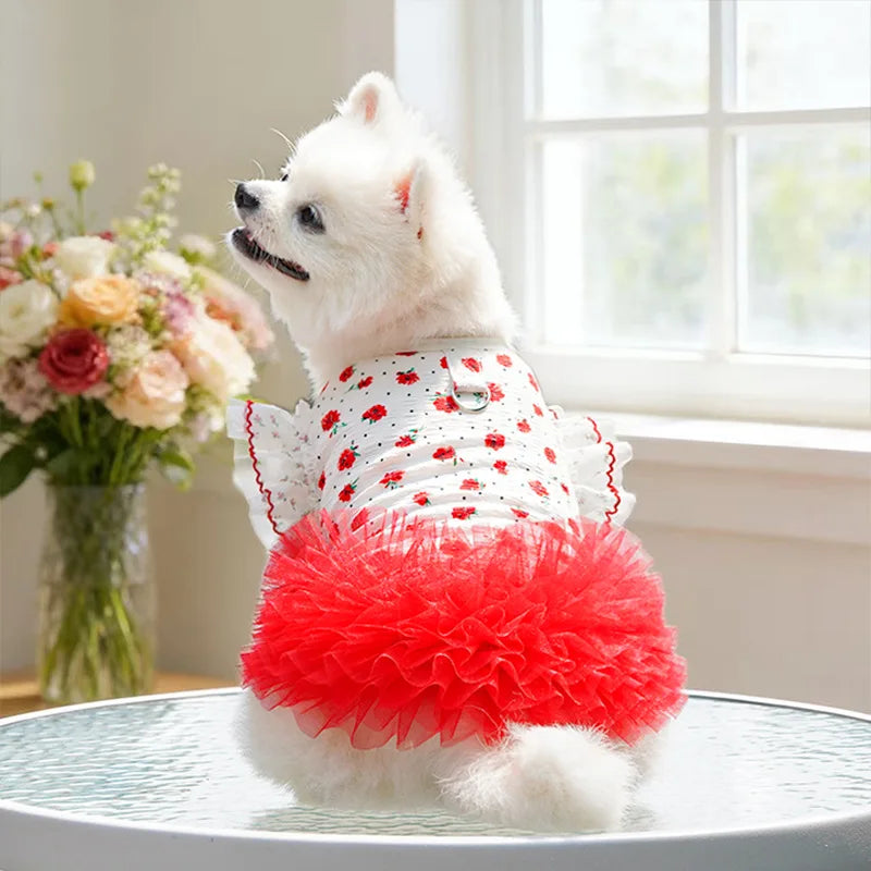 New Floral Lace Cat Dog Dress with Leash, - ProPawPet.com