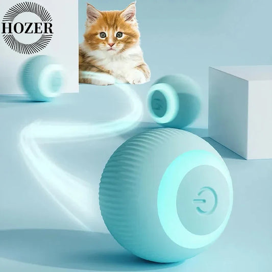 Cat Interactive Ball Smart Cat Toys Indoor - ProPawPet.com