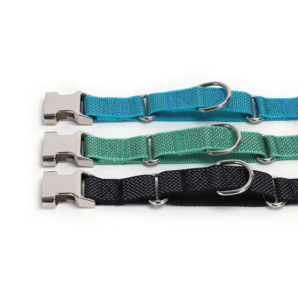 Personalized Martingale Dog - ProPawPet.com