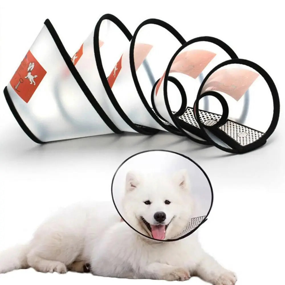 Medical Cats Dogs Health Surgery Wound - ProPawPet.com