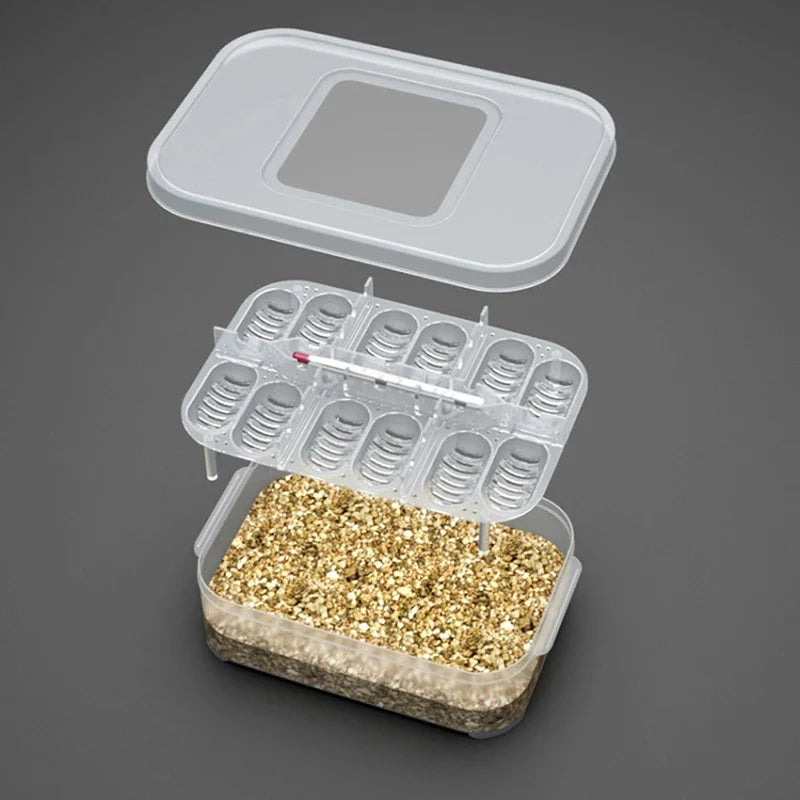 12 Reptile Egg Incubator Tray Thermometer - ProPawPet.com