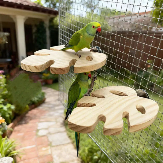 Natural Wood Parrot Fork Branch Perch Bird - ProPawPet.com
