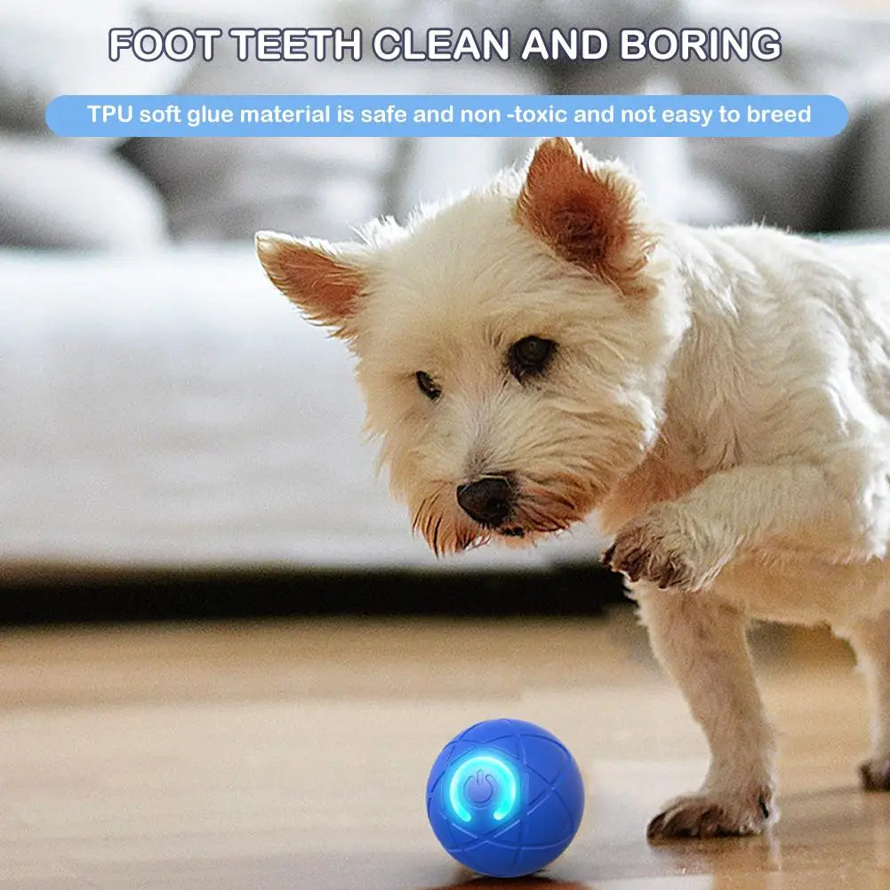 Electronic Interactive Pet Toy Smart Dog Toy - ProPawPet.com