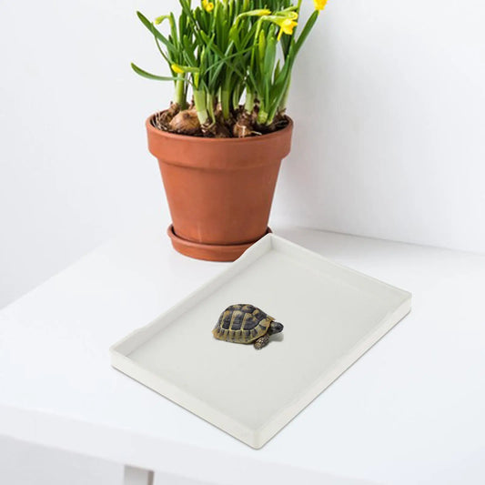 Reptile Water Bowl Terrarium Bowl Turtle - ProPawPet.com