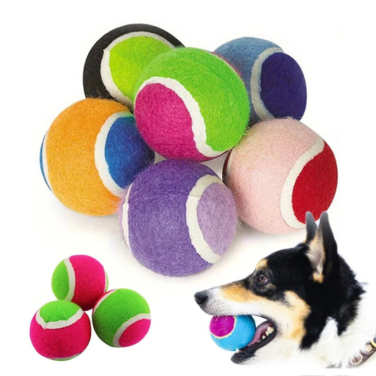 1/2pc Hard Ball Pet Biting Ball Training for - ProPawPet.com