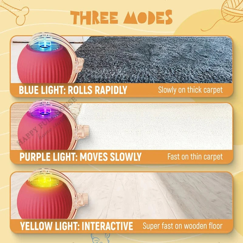 2 in 1 Cat Toy Interactive Ball for Indoor - ProPawPet.com