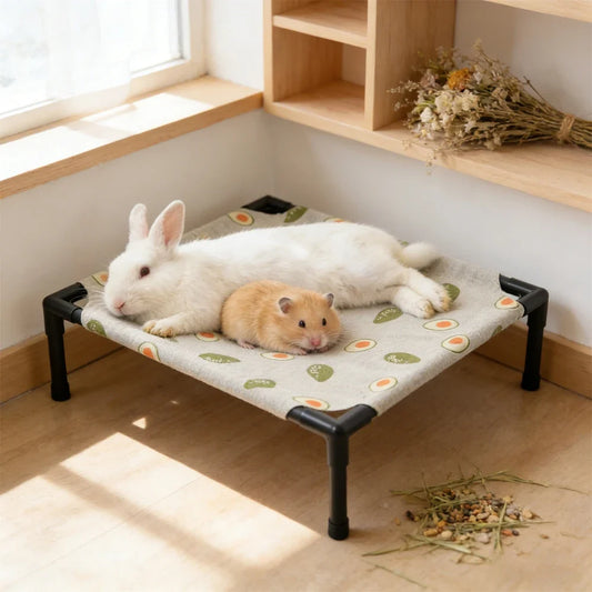 1PC Elevated Pet Bed Raised Small Animal Bed - ProPawPet.com