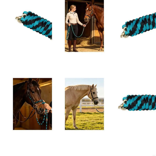Stable Control Horse Rope with Chain for - ProPawPet.com