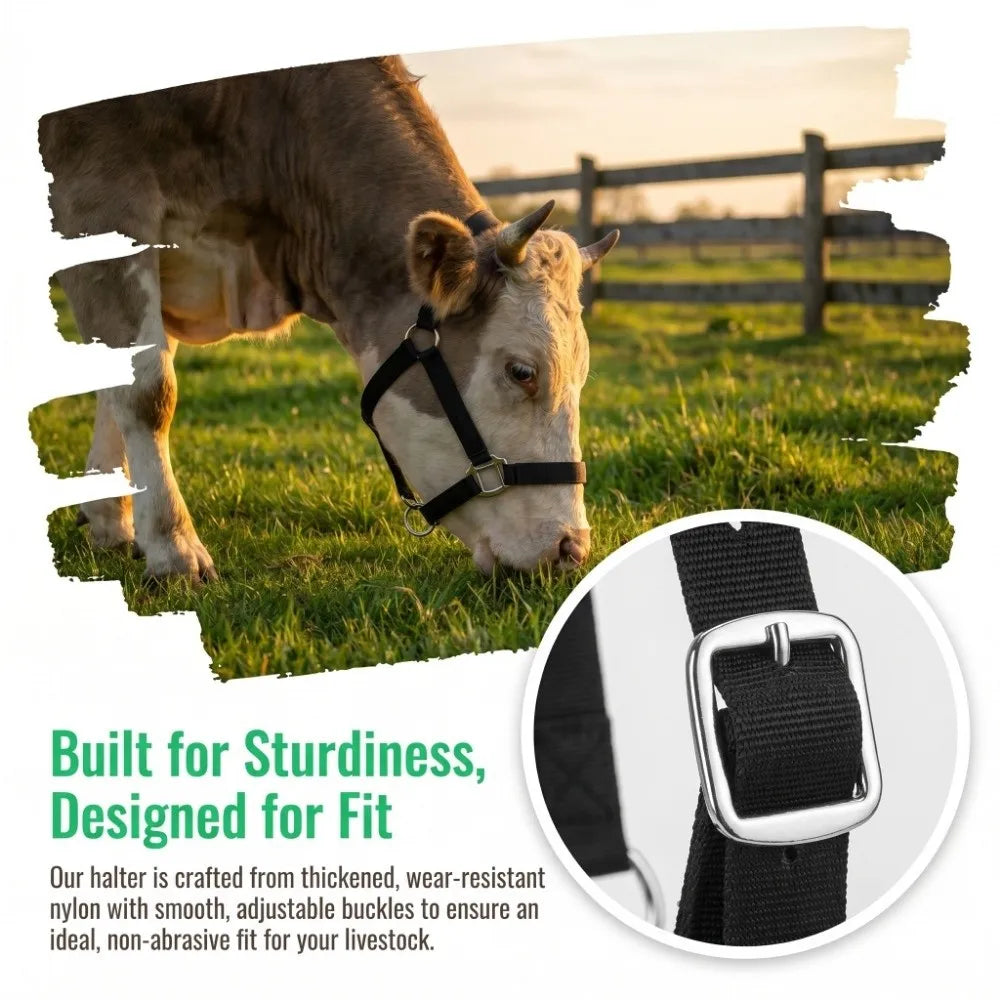 Adjustable Cow Halter with Lead Heavy Duty - ProPawPet.com