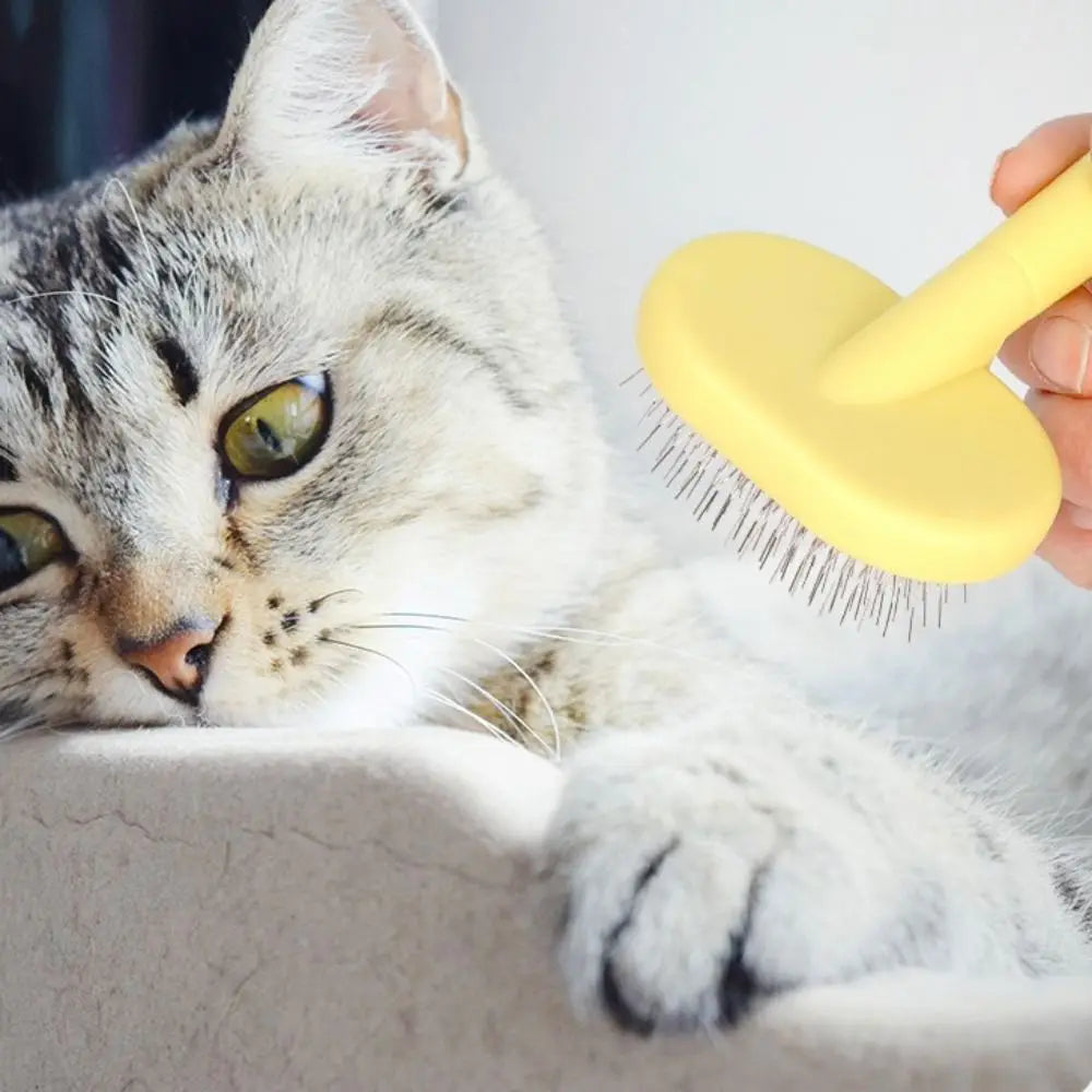 Quality Float Removal Cat Comb Pet Cleaning - ProPawPet.com