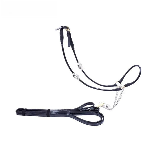 Decorative Display Bridle Arabic Style, Good - ProPawPet.com