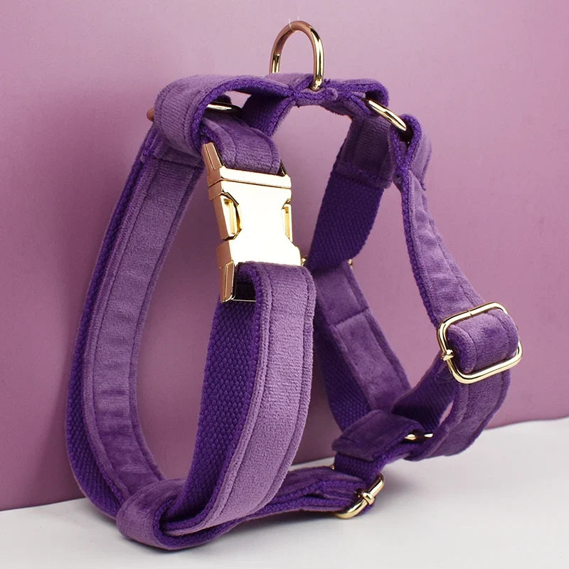 Purple Velvet Dog Collar And Leash Set For - ProPawPet.com