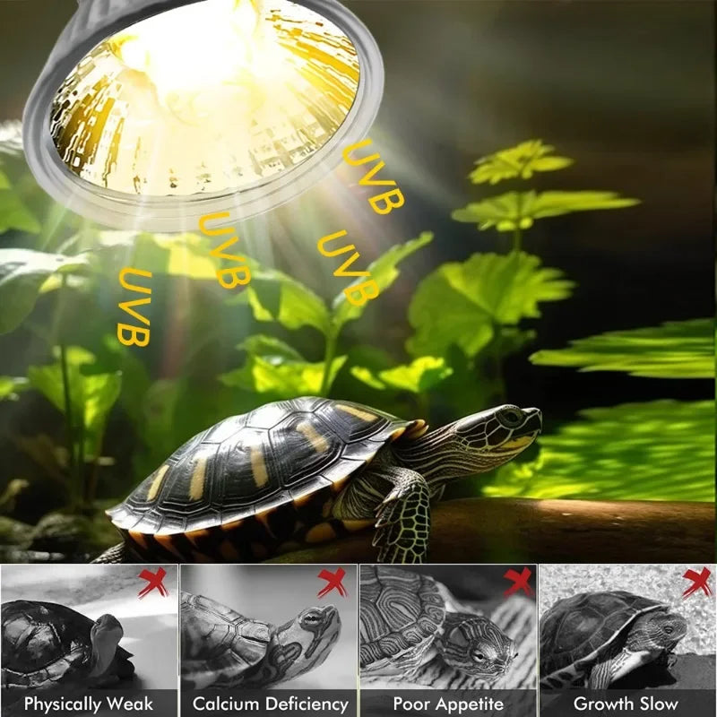 25/50/75W UVA UVB Reptile Lamp Bulb Turtle - ProPawPet.com