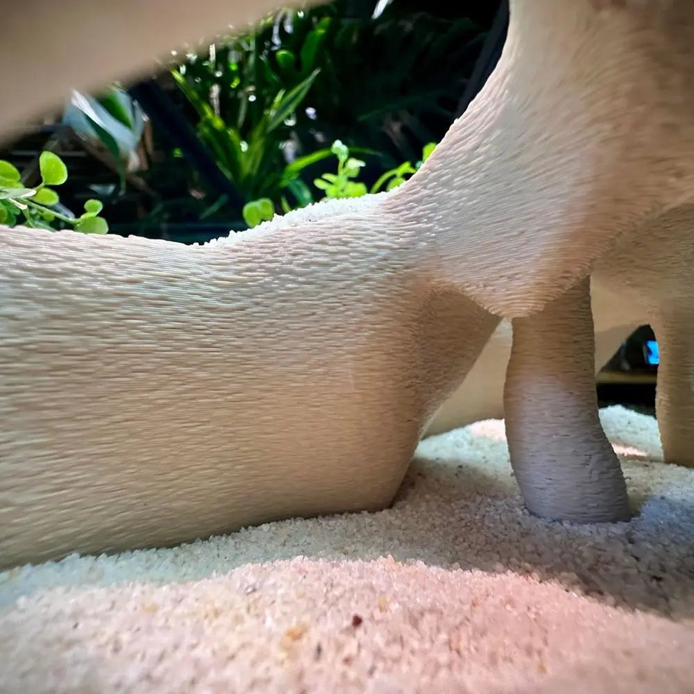 Durable 3D Printed Cave Textured Root Style - ProPawPet.com