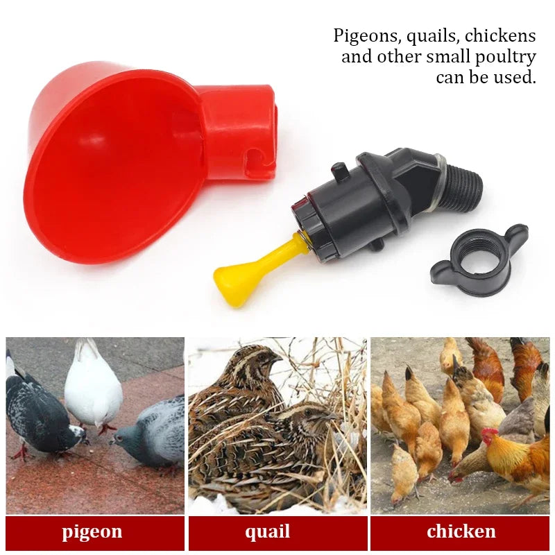 6- Chicken Quail Hanging Water Cups – photo 4