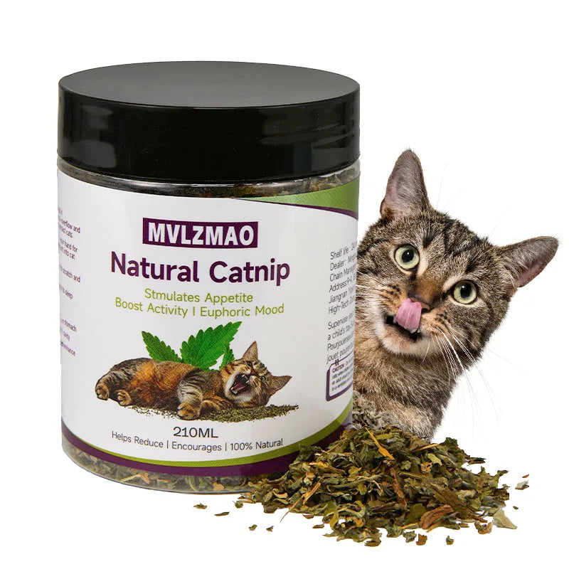 Cat Toys - Silvervine Catnip for Cats, 100% - ProPawPet.com