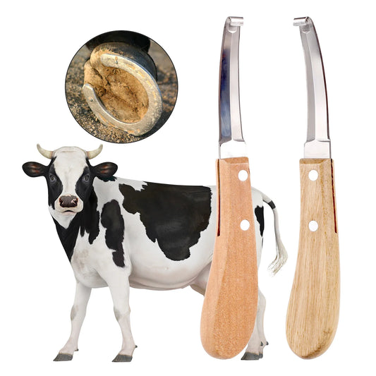 1 Pc Cattle And Horse Hoof Knife Stainless - ProPawPet.com