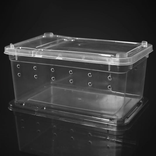 Transparent Reptile Small Snake Feeding Box - ProPawPet.com