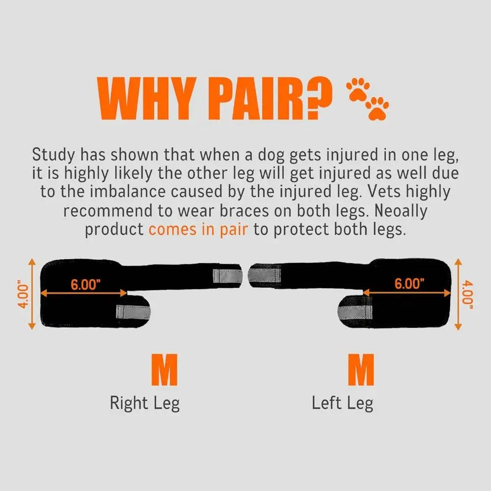 1PC Lightweight PC Strips Dog Front Leg - ProPawPet.com