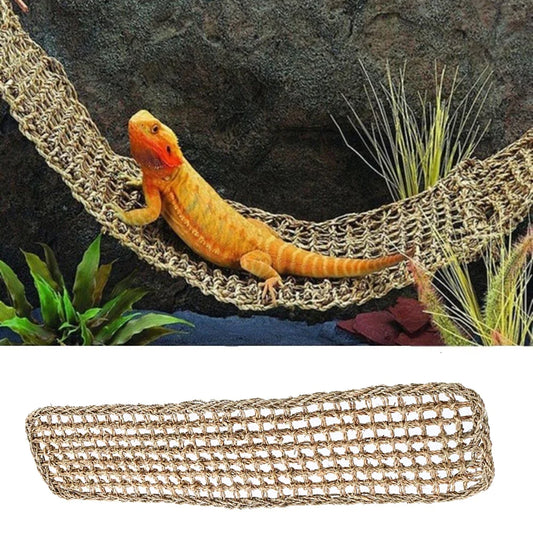 Reptile Hammock Terrarium Decoration For - ProPawPet.com