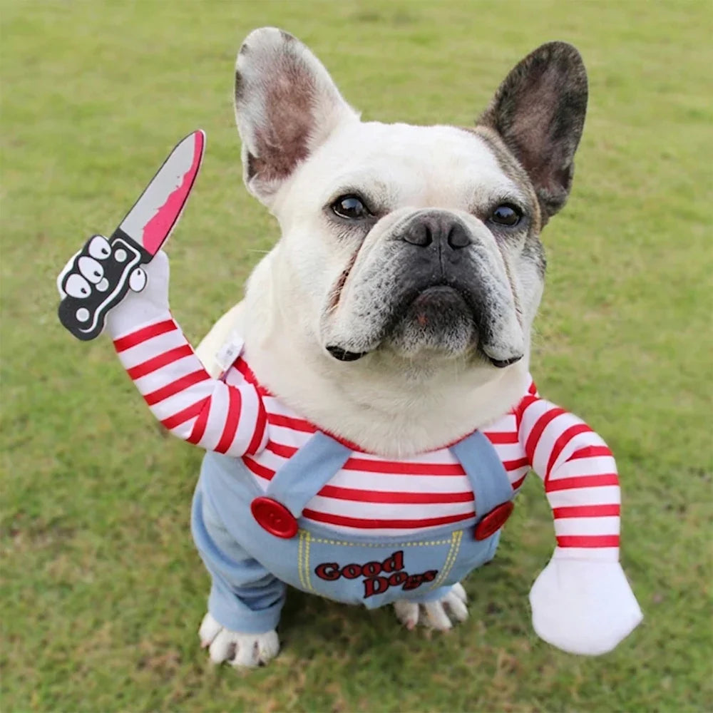 Halloween Dog Costume Funny Pet Clothes - ProPawPet.com