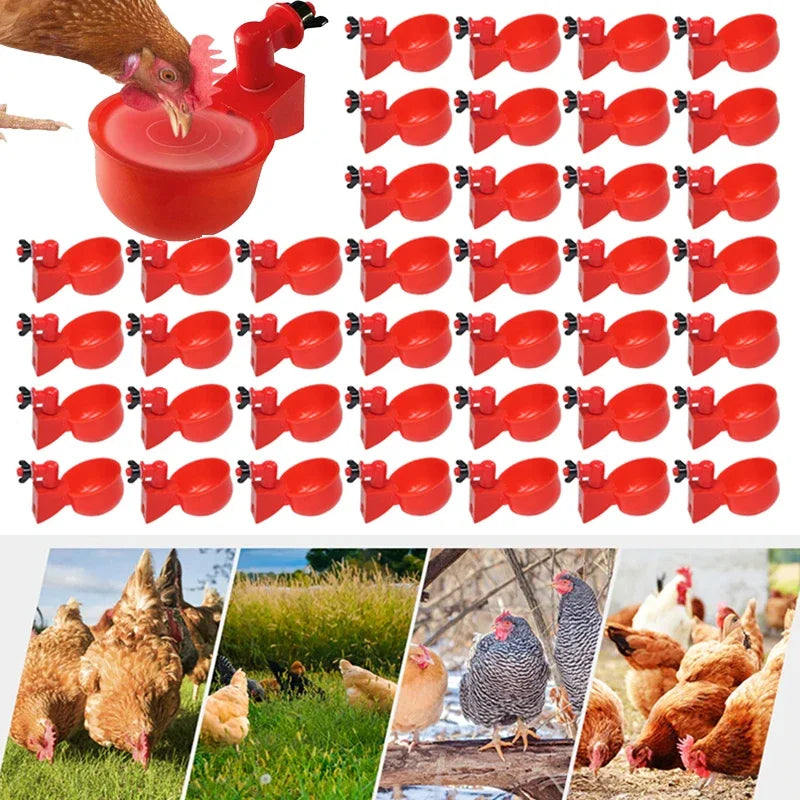 5-50PCS Chicken Drinking Cup Automatic - ProPawPet.com