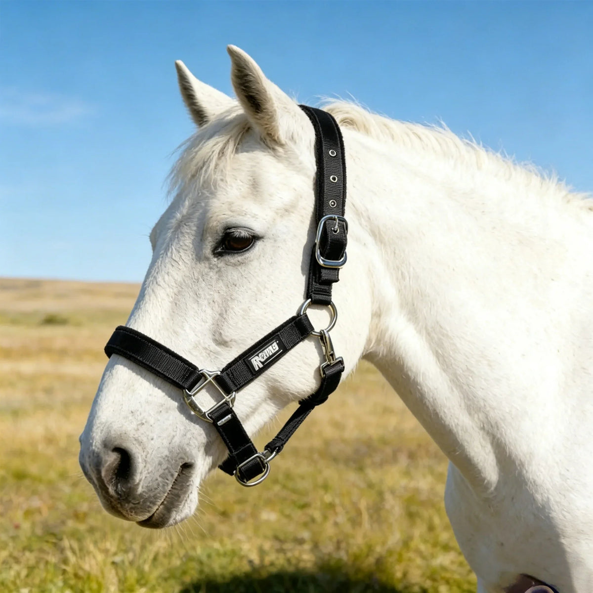 Horse Halter Soft Fleece Padded Adjustable - ProPawPet.com