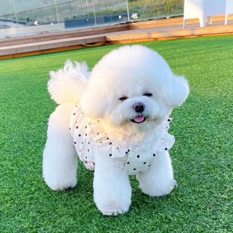 Cute Pet Dog Dress Dot Dog Summer Clothes - ProPawPet.com