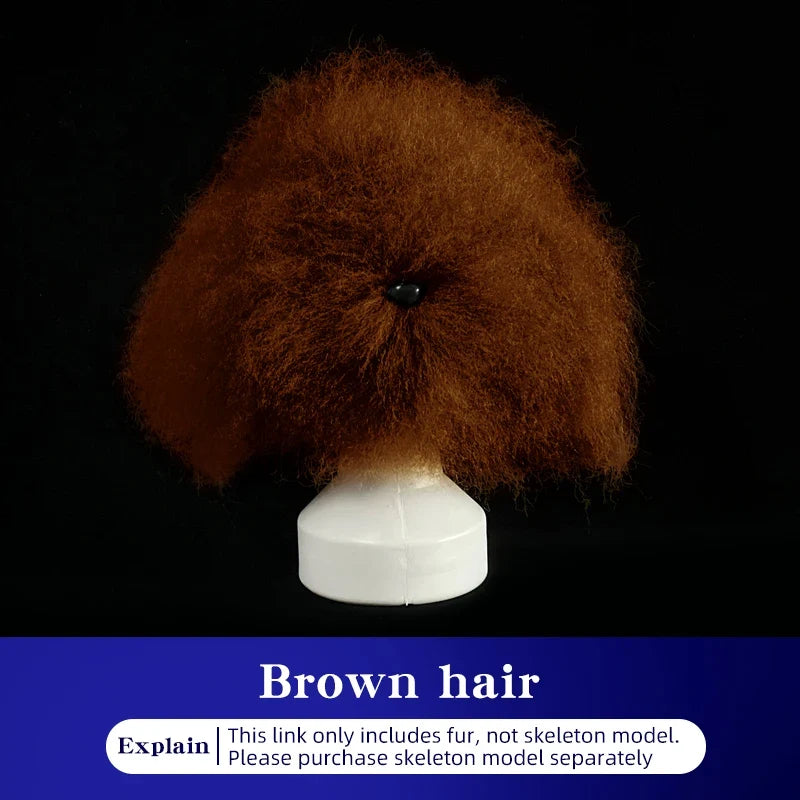 Teddy Pet Simulated Head Hair Fake Dog Beautician Practice – Dog Supplies