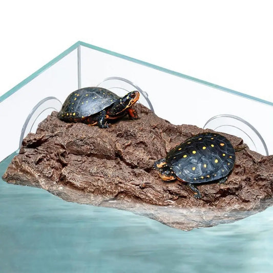 Simulation Rock Turtle Drying Platform Tree - ProPawPet.com