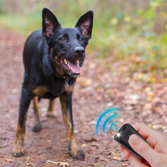 Ultrasonic Dog Bark Deterrent Device Long - ProPawPet.com