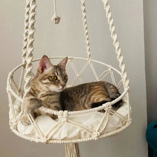 Handmade Woven Cat Hanging Basket Pet - ProPawPet.com