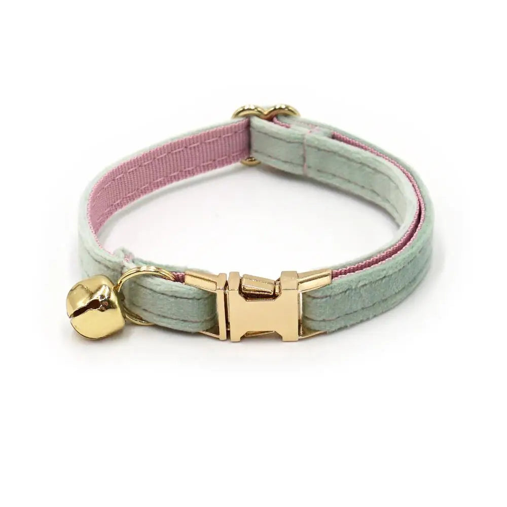 Free Engraving Customized Multicolor Soft - ProPawPet.com