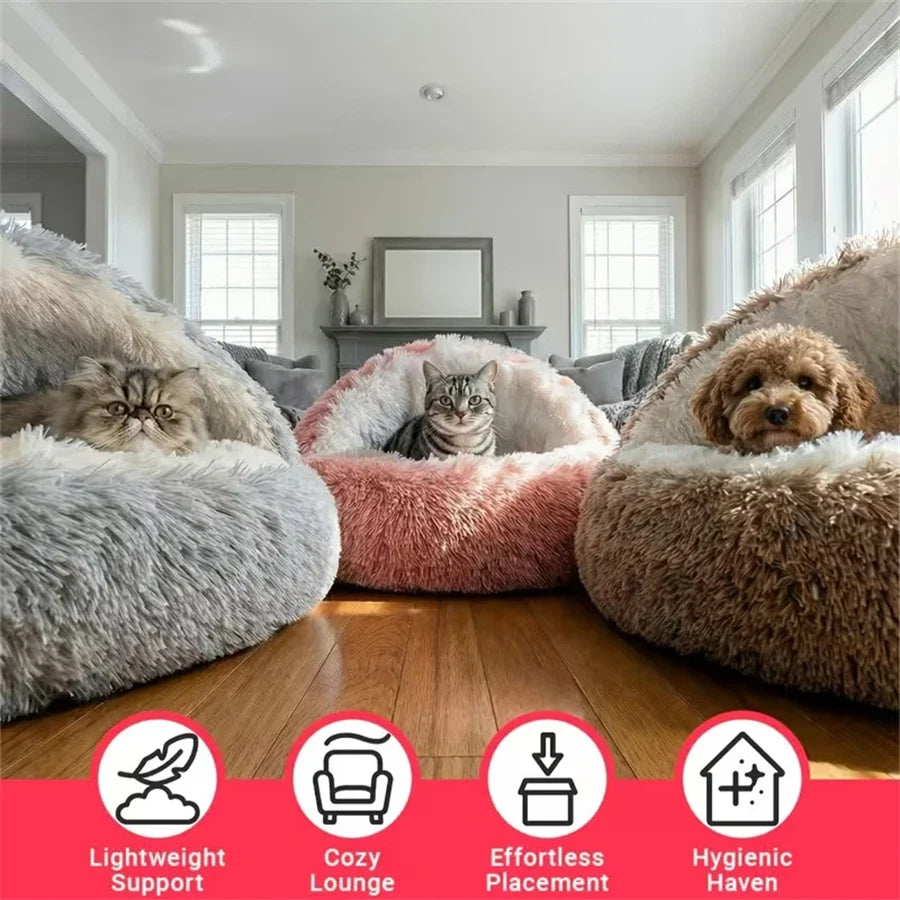 Cozy Cat Bed Shell-Shaped Semi-Enclosed - ProPawPet.com